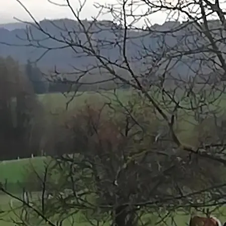 Lichtenhainer Hof ゲストハウス