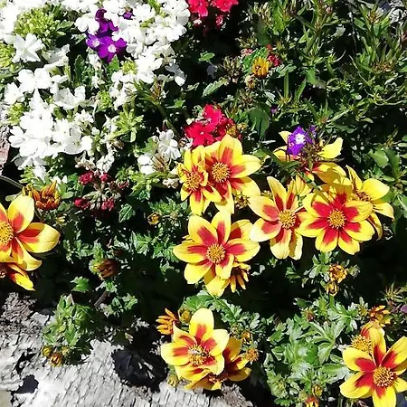 Lichtenhainer Hof * Lichtenhain