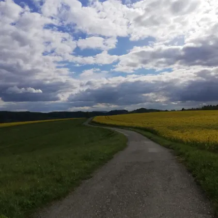 Penzion Lichtenhainer Hof Lichtenhain (Sebnitz)