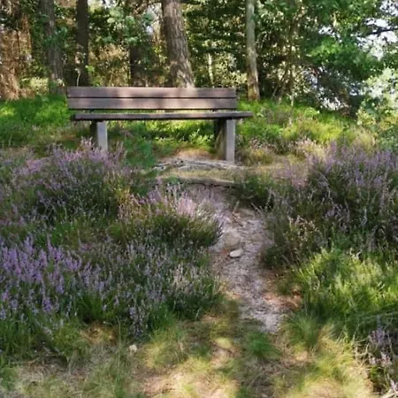 Lichtenhainer Hof * Lichtenhain