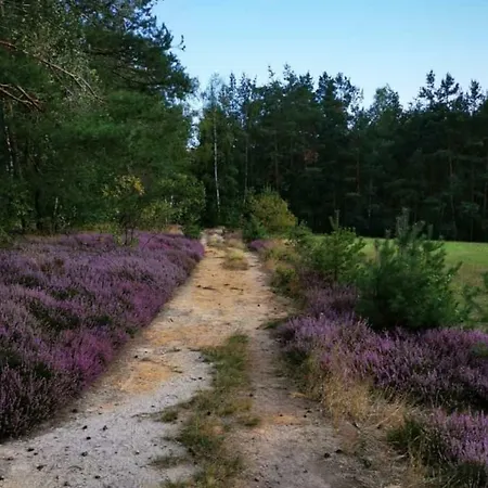 Lichtenhainer Hof Lichtenhain