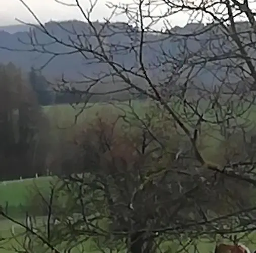 Lichtenhainer Hof 招待所