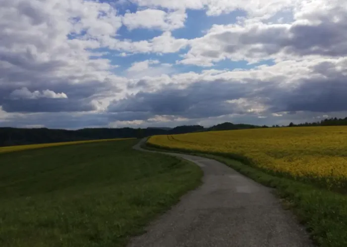 招待所 Lichtenhainer Hof 利希滕海恩