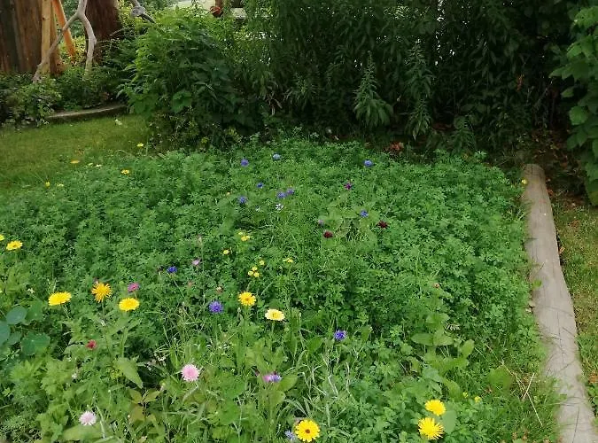 招待所 Lichtenhainer Hof