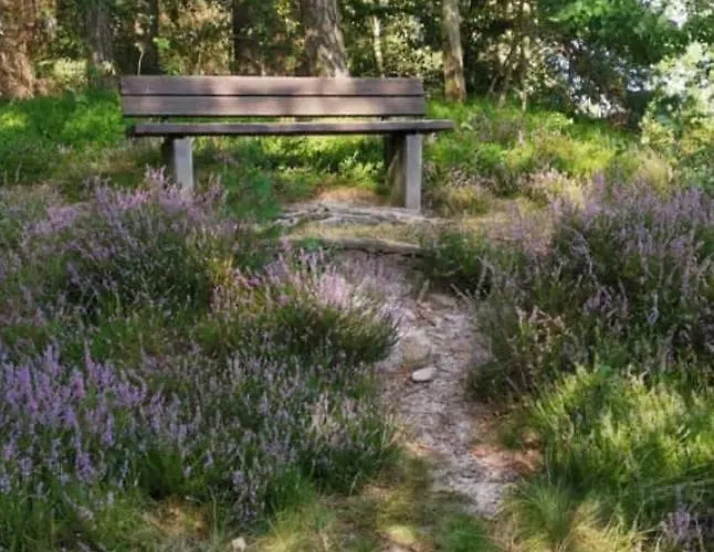 Lichtenhainer Hof * 利希滕海恩