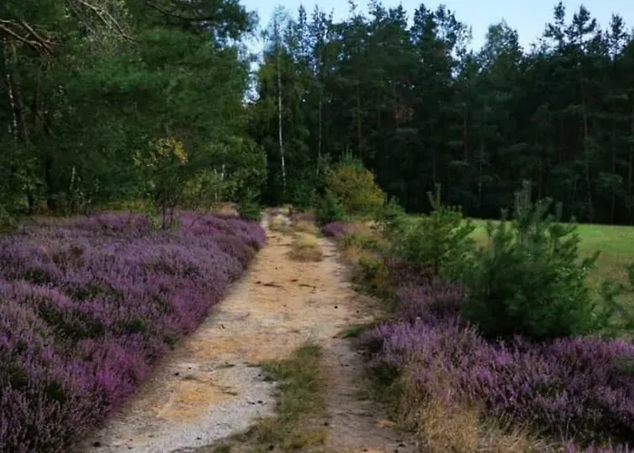 Lichtenhainer Hof 利希滕海恩